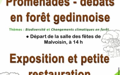 « Biodiversité » et « Changements climatiques en forêt ».