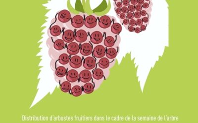 Petits fruits… Grands effets !