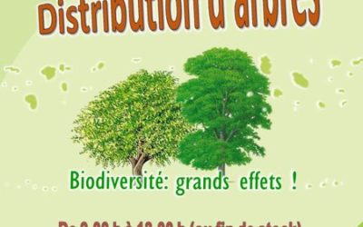 Distribution de plants d’arbres