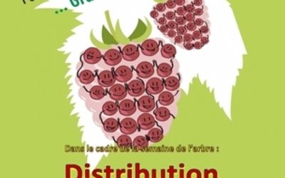 Distribution d’arbustes fruitiers