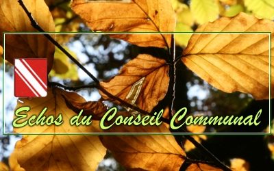 Conseil communal de Gedinne, du 12 octobre 2017