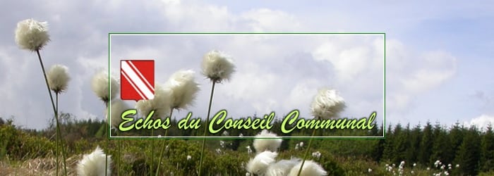 Conseil communal du 30 juin 2021: Au nom des CRACS *!